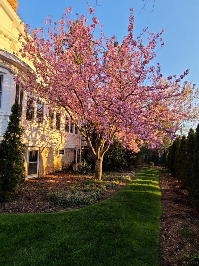 Albemarle - Asheville