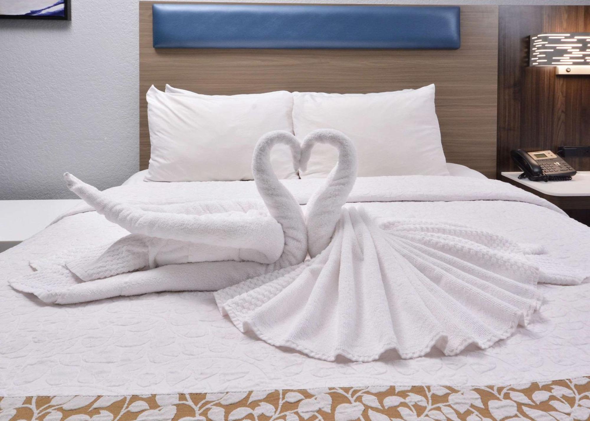 Brookstone Near Biltmore Village, Ascend Collection Hotel 3*