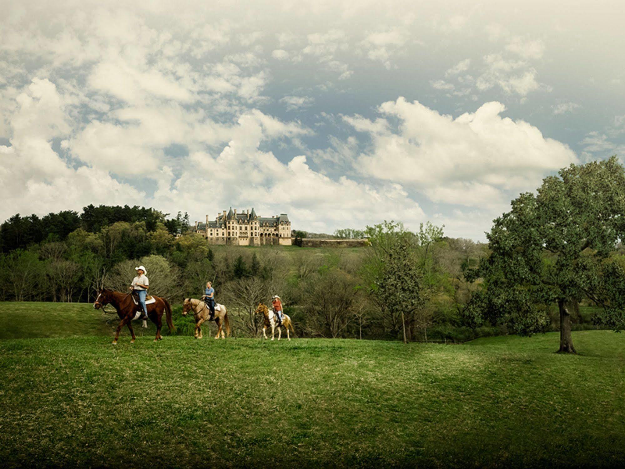 The On Biltmore Estate Hotel 4*