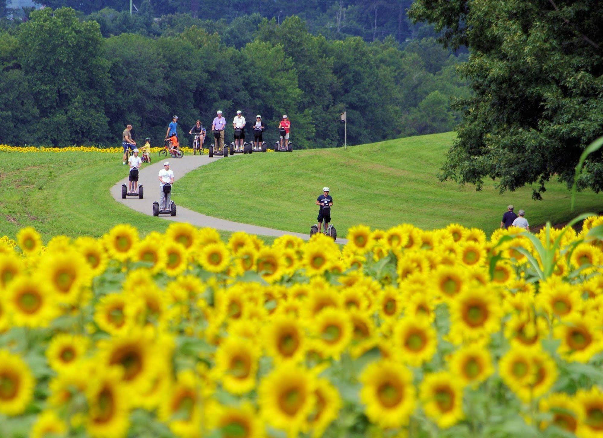 Hotel The On Biltmore Estate 4*