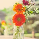 Bunn House - A Boutique Hotel