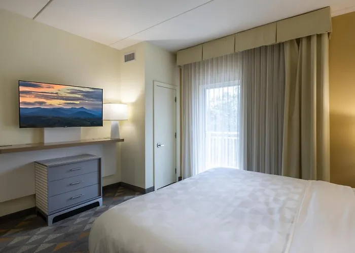 The Scenic Hotel At Biltmore Village