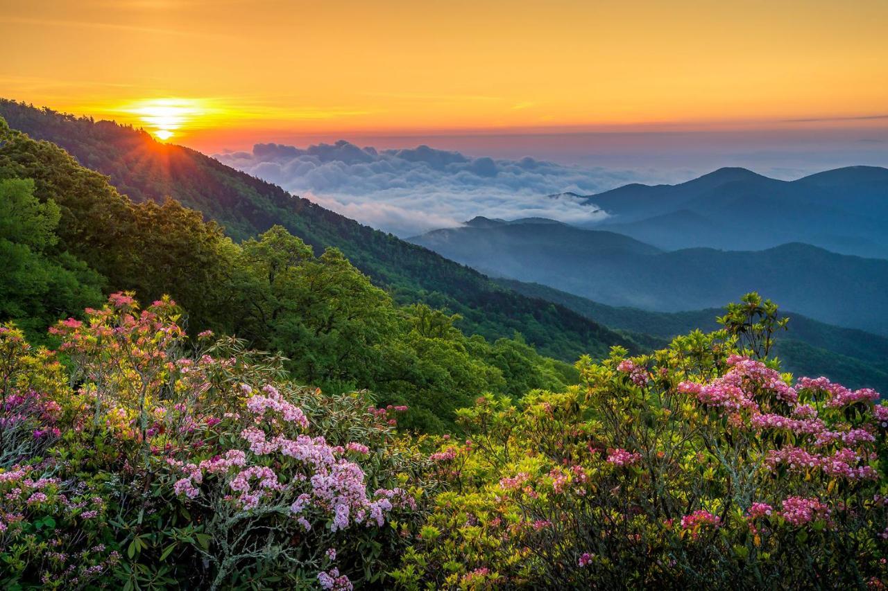 Hiawassee E302 Asheville