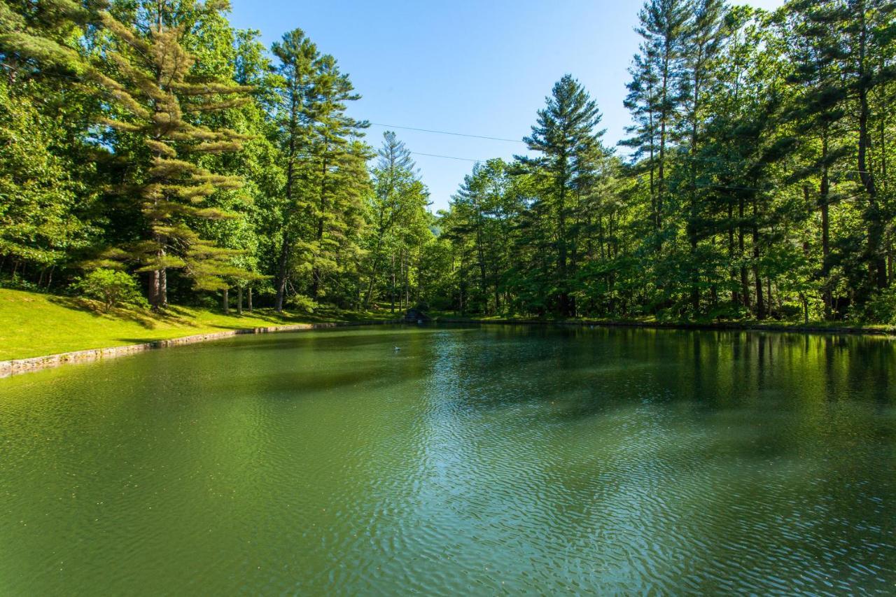 Bull Creek Peaceful Escape Holiday home