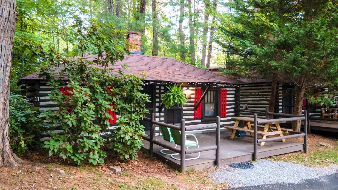 Log Motor Court