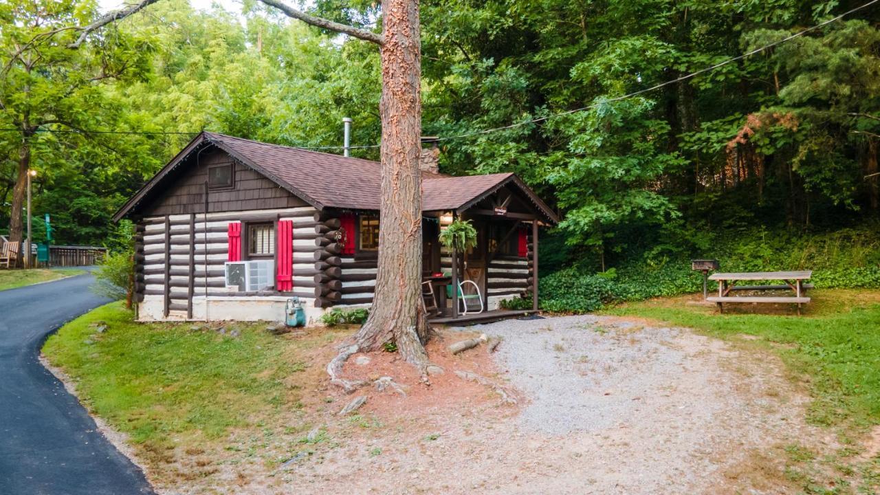 Log Motor Court Lodge