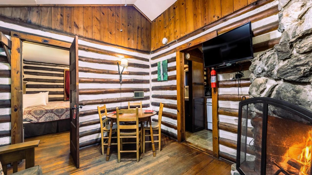 Log Motor Court Lodge Asheville