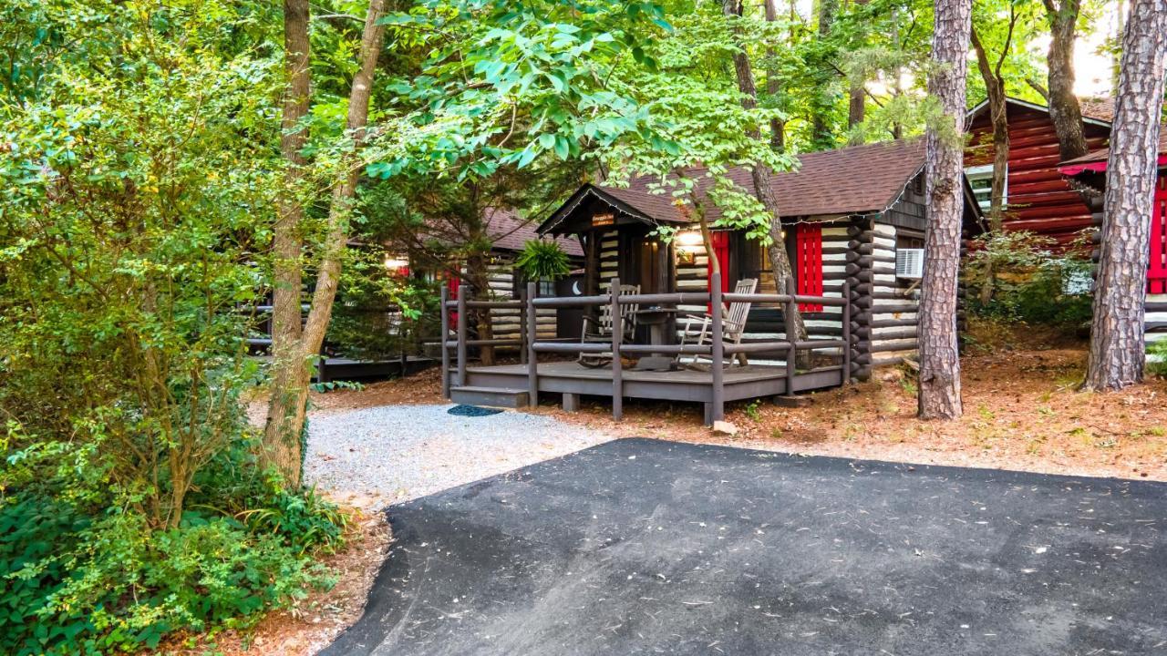 Log Motor Court