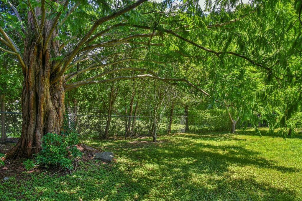 Holiday home 6 Miles To Downtown Asheville. Sleeps 5. *