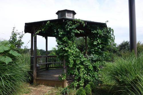 Hotel Country & By Radisson, West Near Biltmore 3*