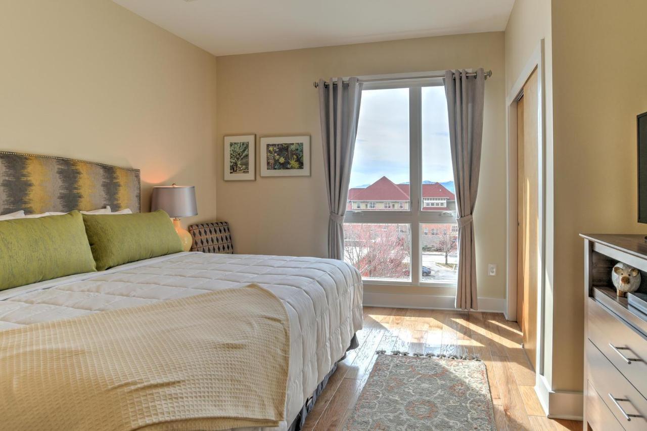 45 Asheland Avenue Unit 502 * Asheville
