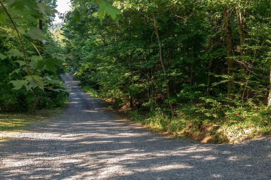 Gorgeous On The Blue Ridge Parkway *
