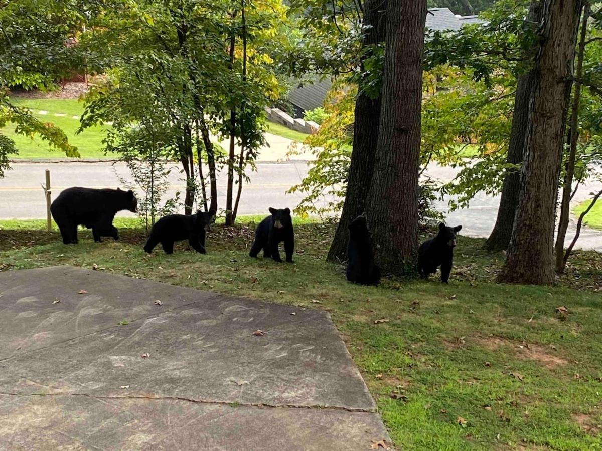 Midway Mountain Views Holiday home Asheville