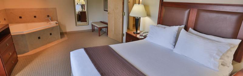 Hotel Express & Downtown By Ihg Asheville