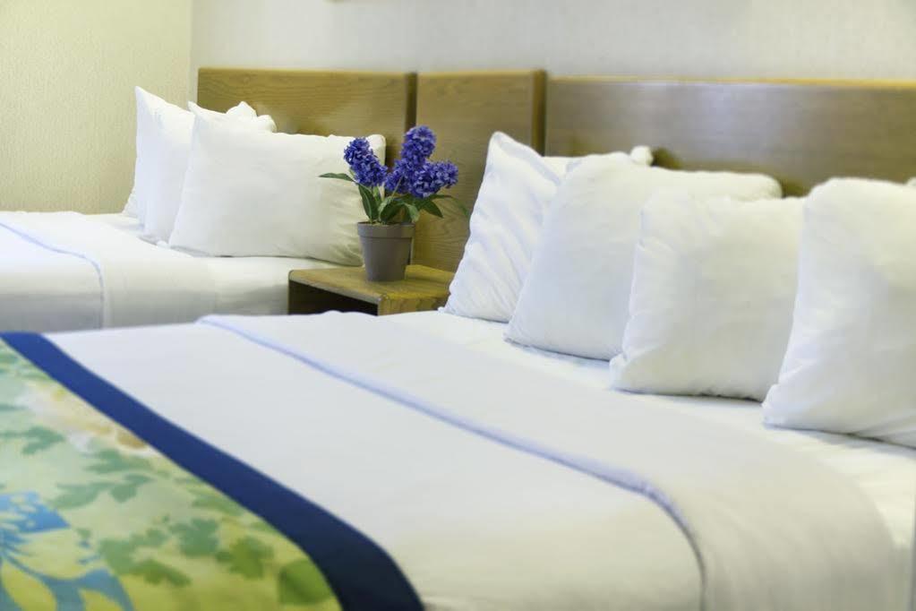 Hampton & Suites-asheville Biltmore Village, Nc Hotel 3*