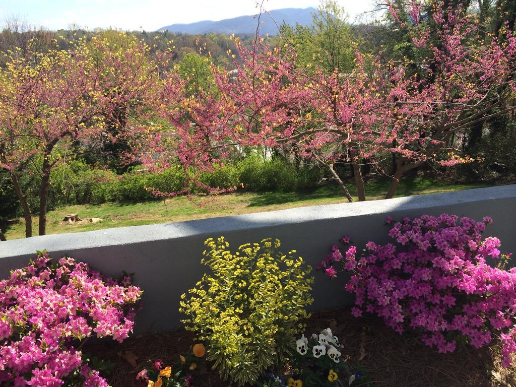 Bed & Breakfast Biltmore Village Inn B&B 4*