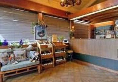 Howard Johnson - Biltmore 2* Asheville