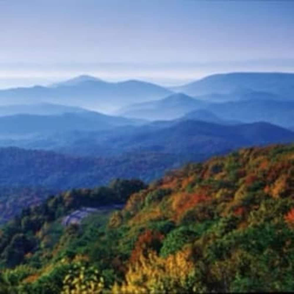 Biltmore Village Inn B&B Asheville